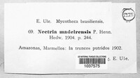 Image of Nectria madeirensis